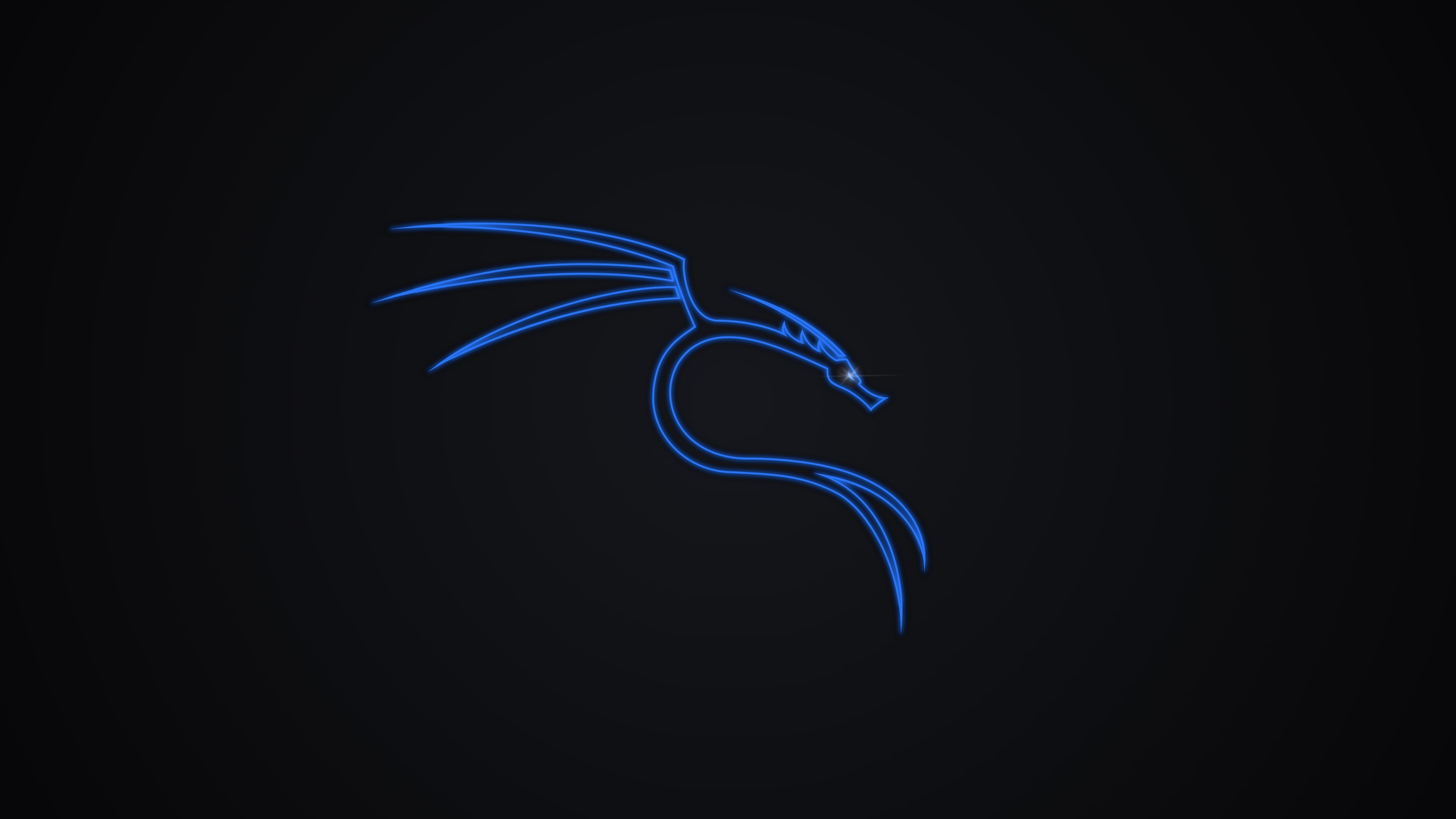 Hacker OS Kali Linux